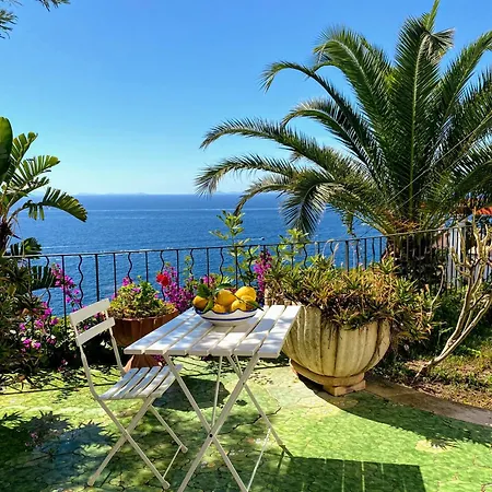 Maison Il Vervece - Sorrento Villa *